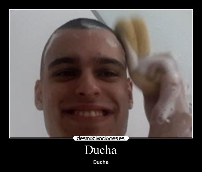 carteles animales desmotivaciones