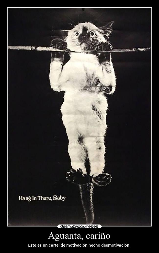 Aguanta, cariño -