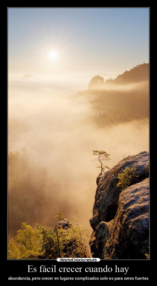 Es fácil crecer cuando hay - abundancia, pero crecer en lugares complicados solo es para seres fuertes
