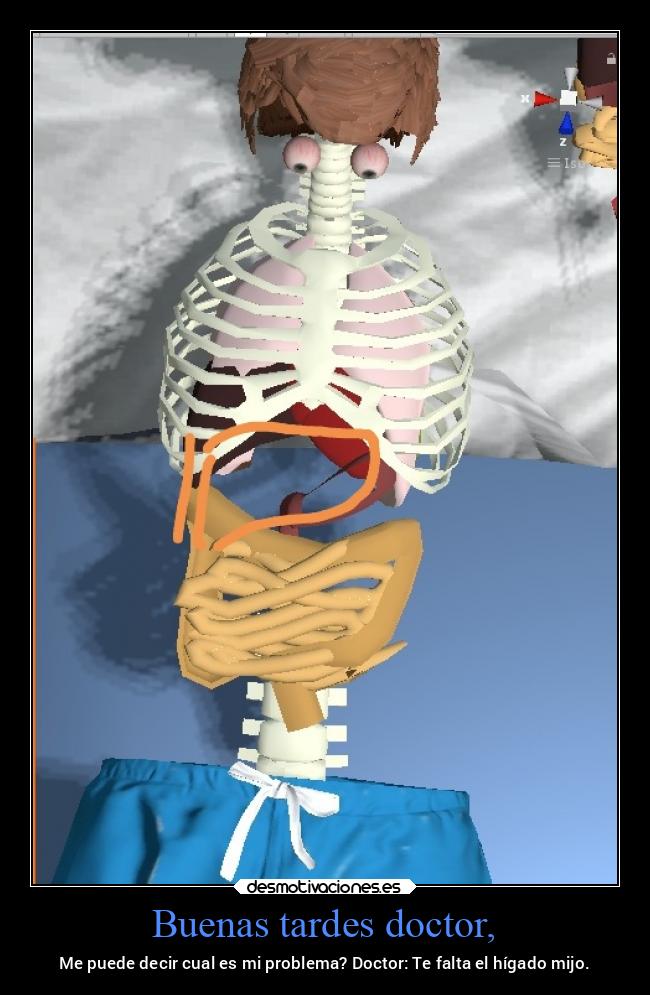 Buenas tardes doctor, - 