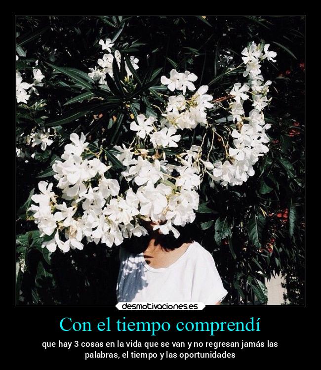 Con el tiempo comprendí - 