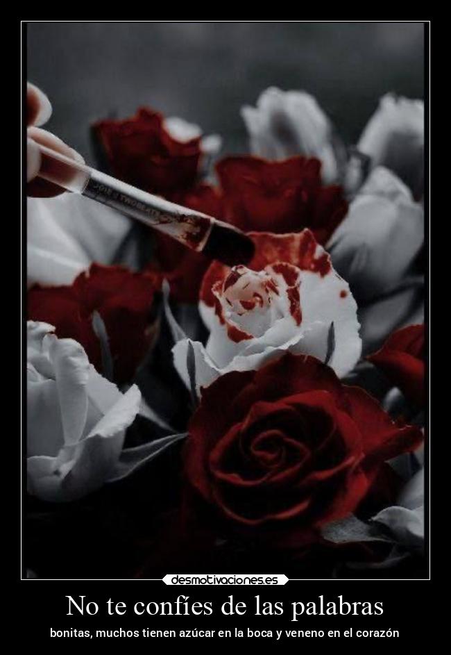 No te confíes de las palabras - 