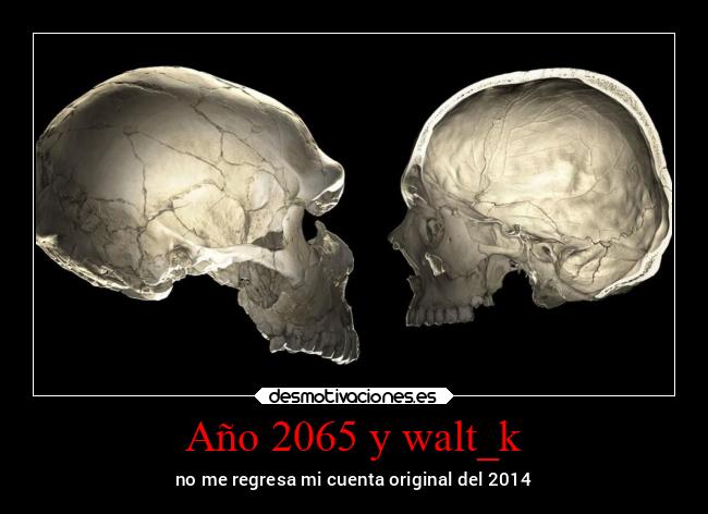 Año 2065 y walt_k - 