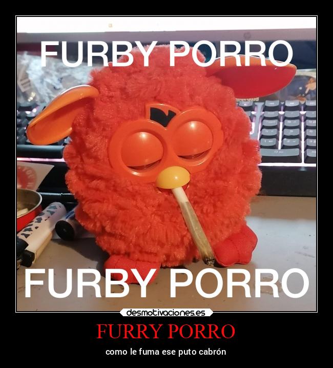 FURRY PORRO -