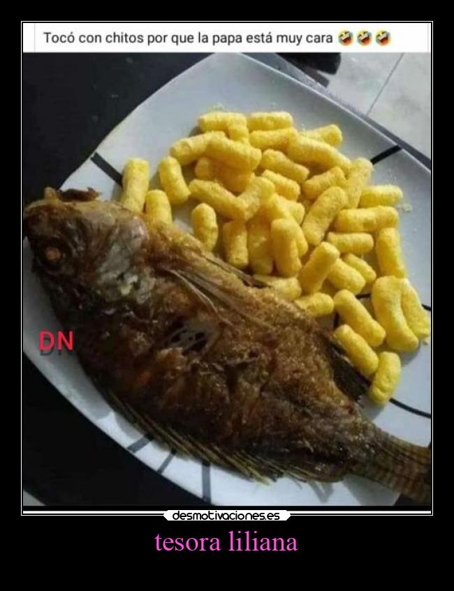 tesora liliana -