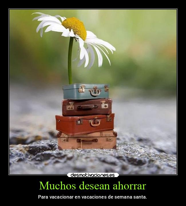 Muchos desean ahorrar - 