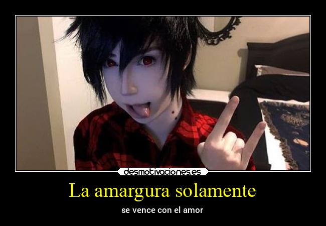 La amargura solamente - 