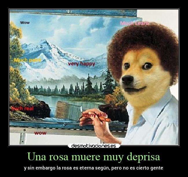 Una rosa muere muy deprisa - 