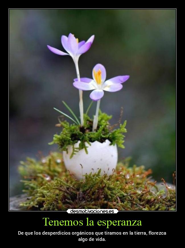 Tenemos la esperanza - 