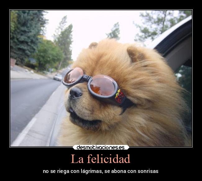 La felicidad - 