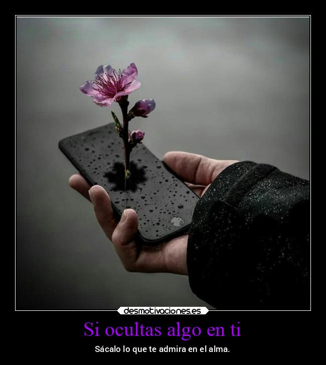 carteles frases corazon alma imaginacion sacalo miguelflippy2021 desmotivaciones