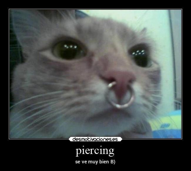 piercing - se ve muy bien B)
