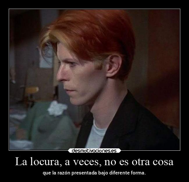 La locura, a veces, no es otra cosa - 