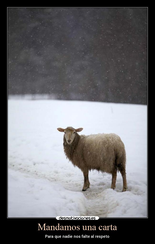 carteles mexico politica espana nieve nieve2022 borregos mexico2022 amlo noticias2022 desmotivaciones