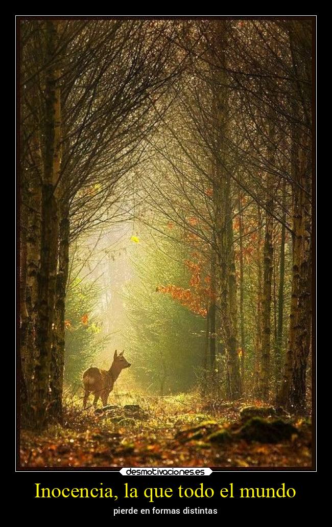 Inocencia, la que todo el mundo - 