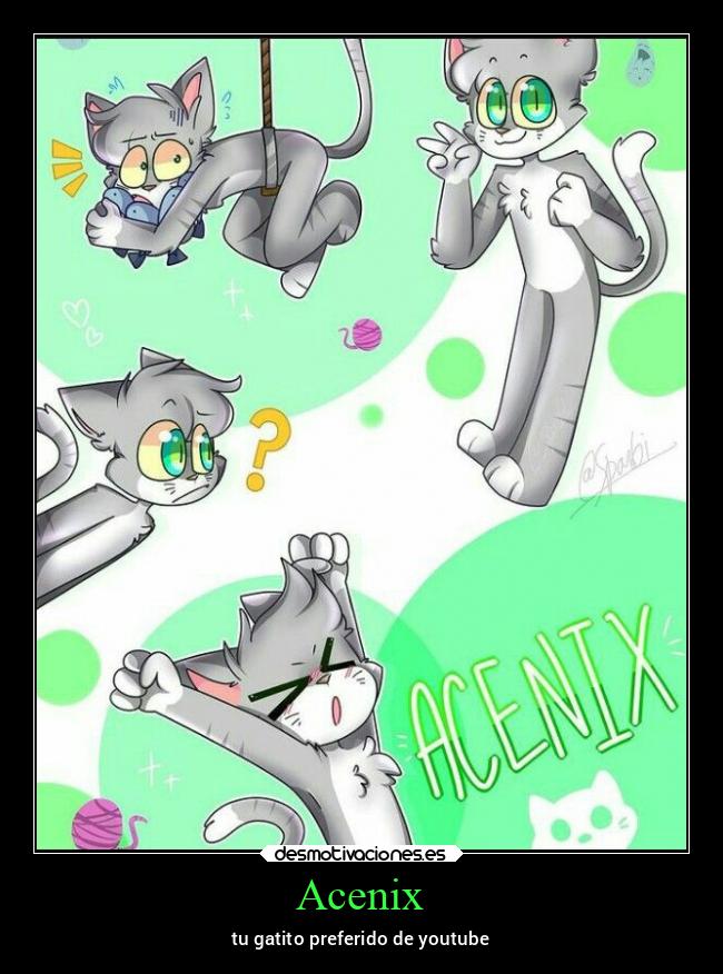 Acenix - tu gatito preferido de youtube