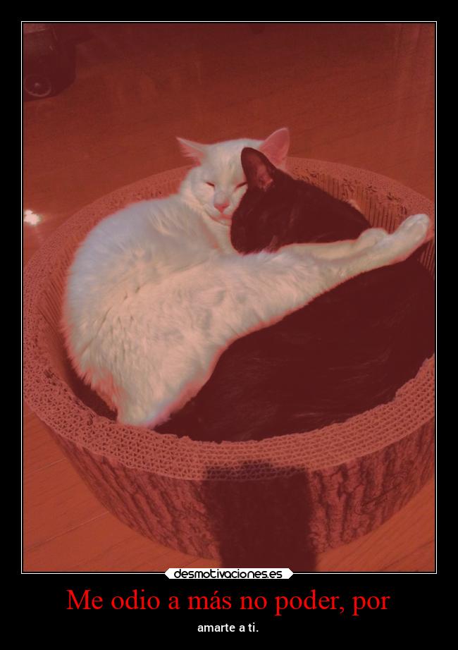 Me odio a más no poder, por - 