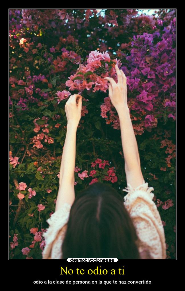 carteles odio bogota ausencia amor alicea legionra desmospring2022 desmotivaciones