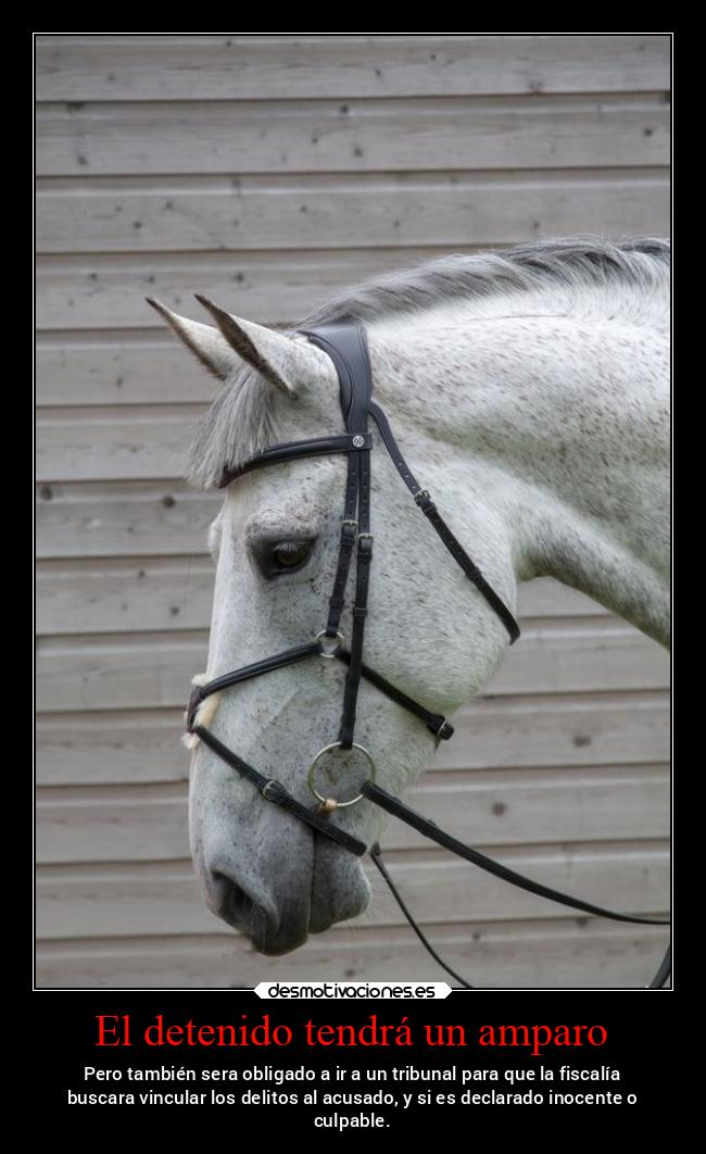 carteles politica mexico mexico2022 acusado juicio inocente culpable corrupto noticias2022 desmotivaciones