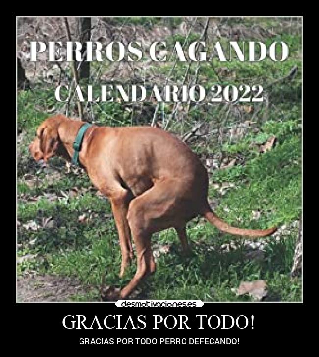 carteles risa por desmotivaciones