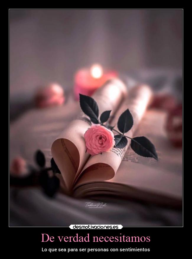 De verdad necesitamos - 