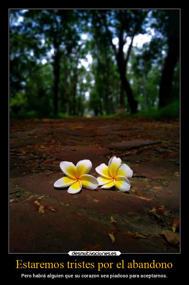 Estaremos tristes por el abandono - Pero habrá alguien que su corazon sea piadoso para aceptarnos.