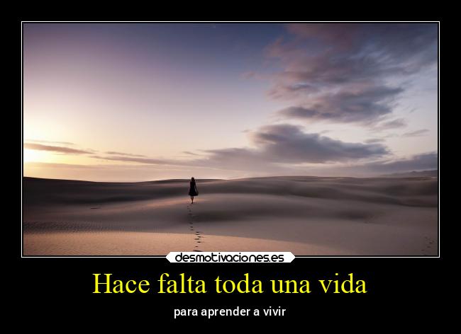 Hace falta toda una vida - 
