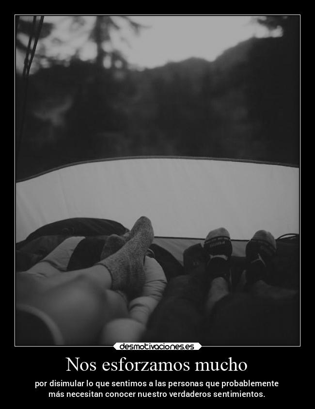 carteles vida kurara7 soyunapanda colleenhoover talvezmanana desmotivaciones