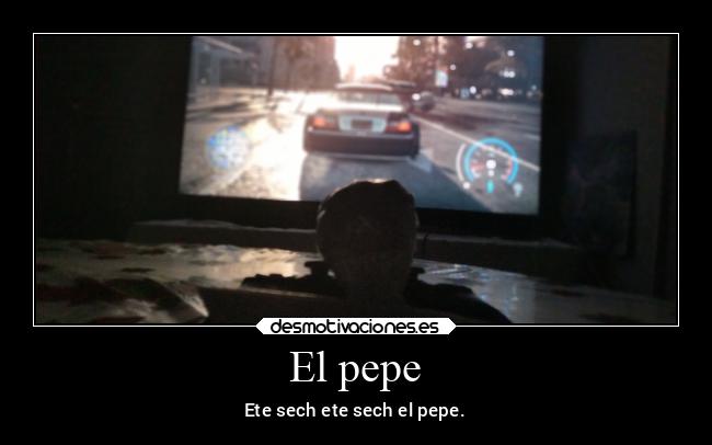 carteles alegria animales desmotivaciones