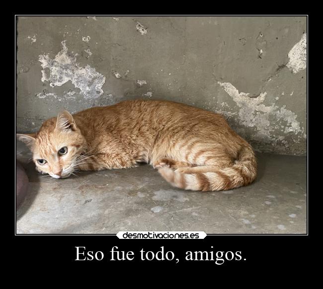 Eso fue todo, amigos. -