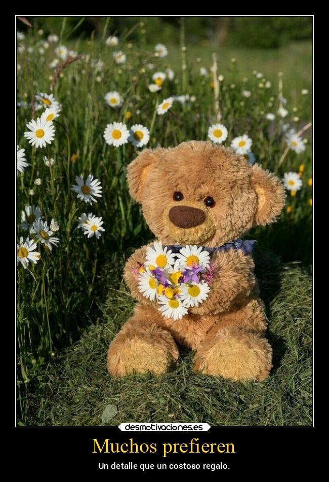 carteles amor alegria preferir detalle regalos primavera desmospring2022 desmotivaciones