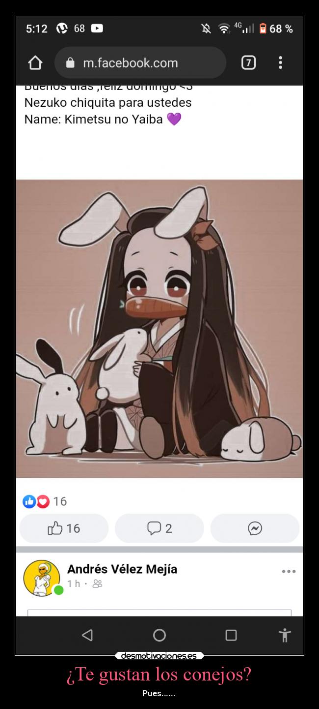 ¿Te gustan los conejos? - Pues......