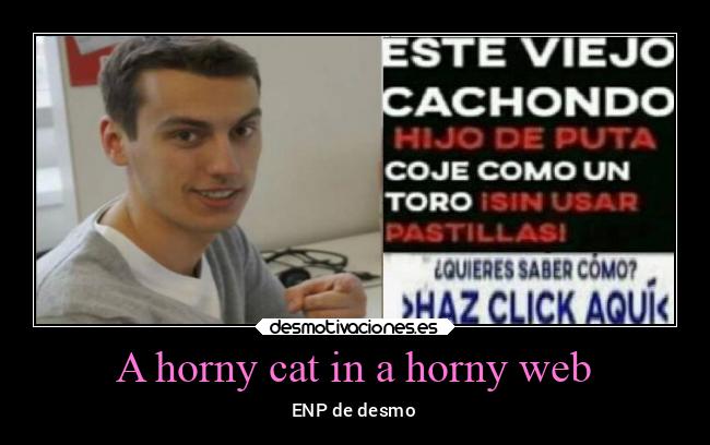 A horny cat in a horny web - ENP de desmo