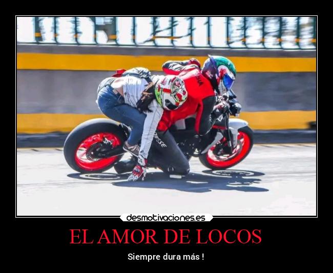 EL AMOR DE LOCOS - 