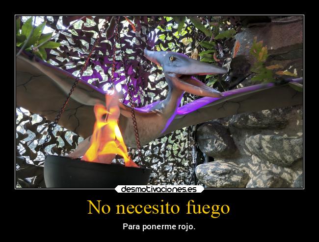 carteles animales pajaro volador fuego desmotivaciones