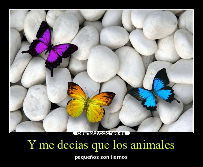 carteles animales vida guts opalescence suhail marina desmotivaciones