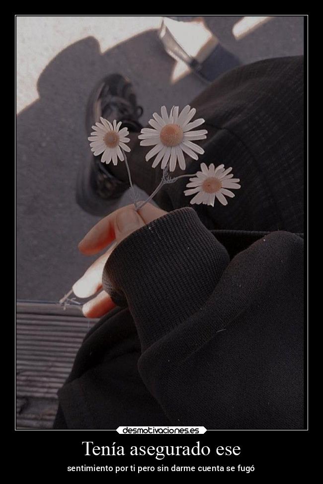 carteles arte caracter desamor alma flores angelphantomhive dulcesitophantomhive desmotivaciones