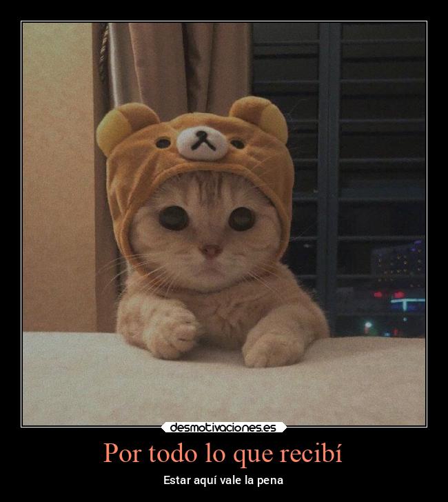 carteles caracter aqui vale pena desmotivaciones