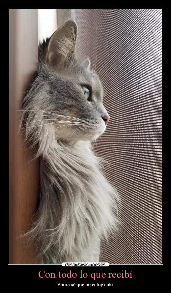 Con todo lo que recibí - Ahora sé que no estoy solo