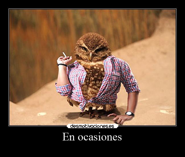 En ocasiones -