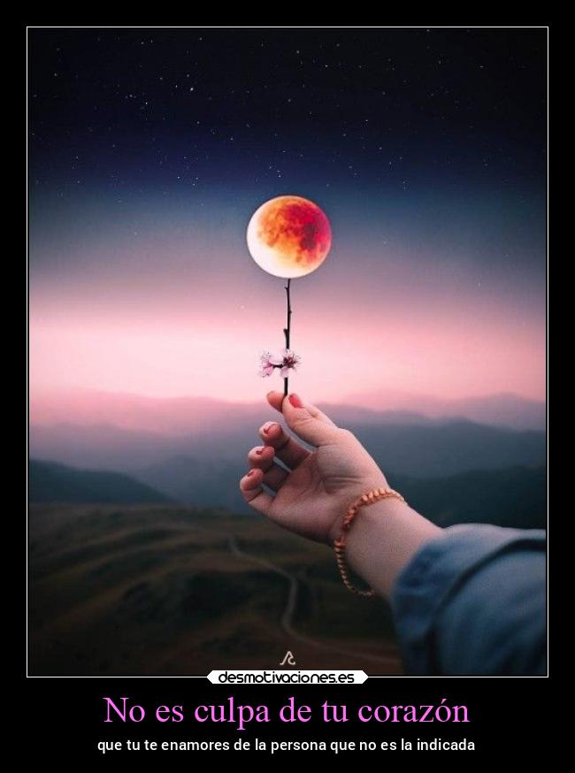 No es culpa de tu corazón - que tu te enamores de la persona que no es la indicada