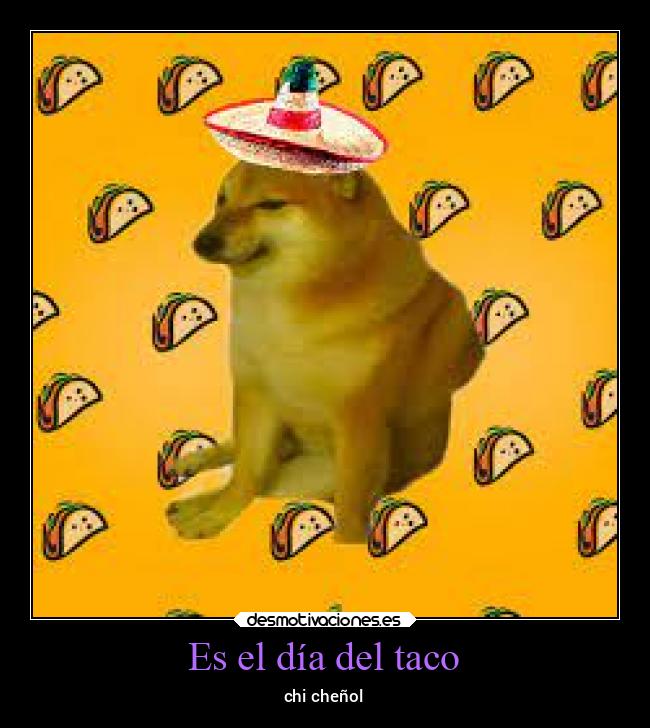 Es el día del taco - chi cheñol