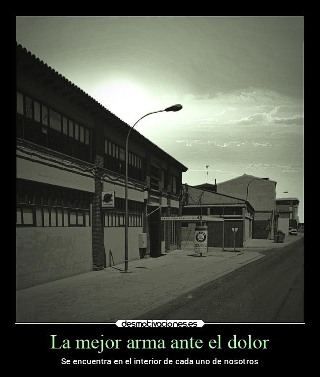 carteles dolor vida v12 waltkdameprinci atardecer nocturnidad desmotivaciones