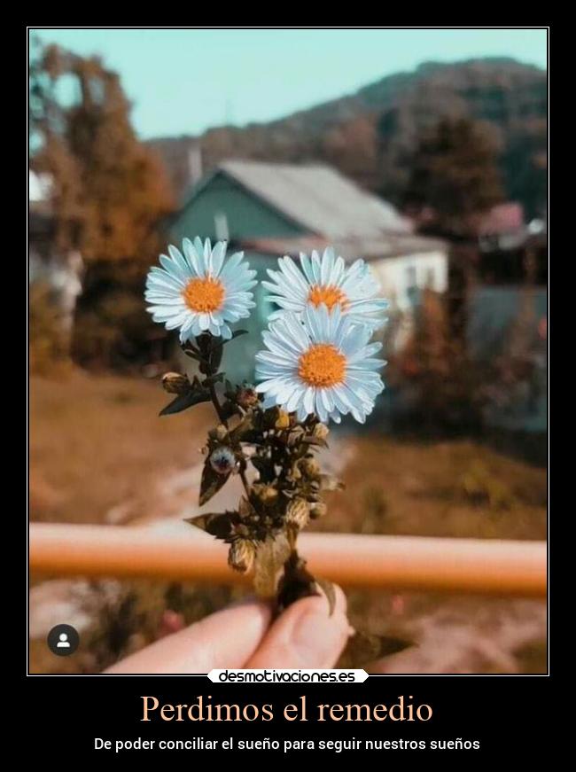 carteles dormir manera conciliar sueno primavera suenos manzanilla desmospring2022 desmotivaciones