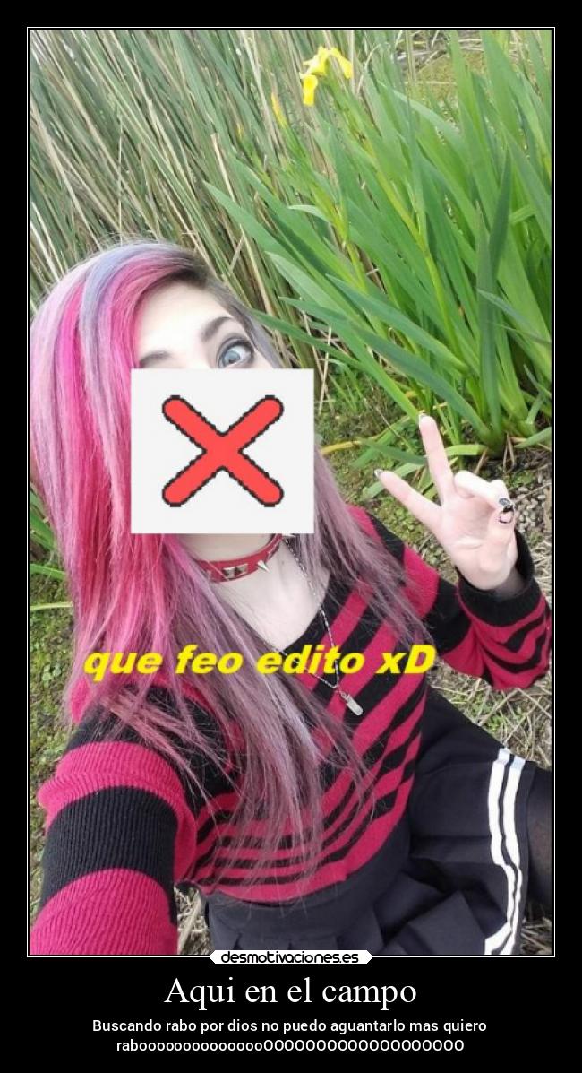 Aqui en el campo - Buscando rabo por dios no puedo aguantarlo mas quiero
rabooooooooooooooOOOOOOOOOOOOOOOOOOO