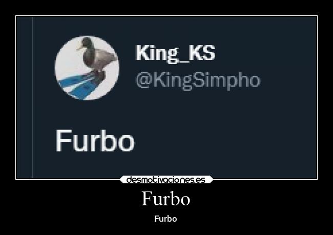 Furbo - Furbo