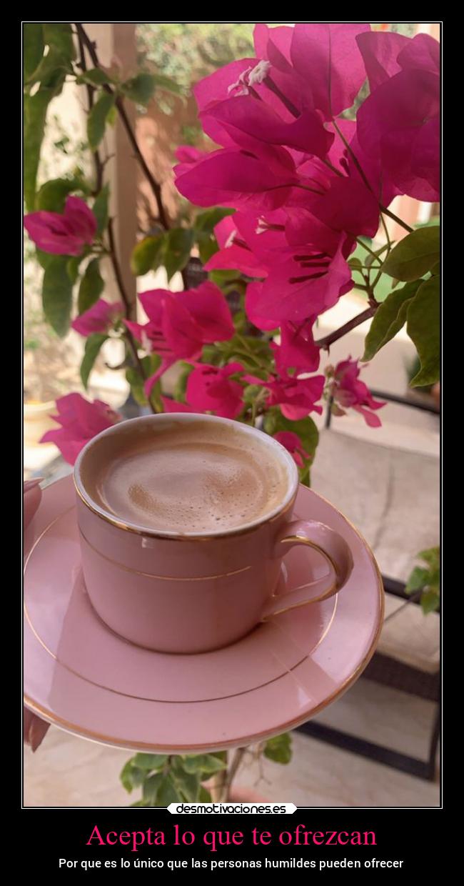 carteles mexico aceptar humildad mexico2022 tasita cafe primavera desmospring2022 desmotivaciones