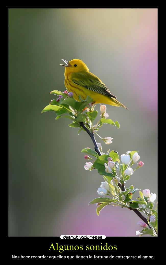 carteles mexico amor fortuna mexico2022 entregar noticias2022 primavera desmospring2022 desmotivaciones