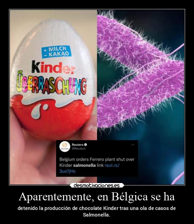 Aparentemente, en Bélgica se ha - detenido la producción de chocolate Kinder tras una ola de casos de
Salmonella.