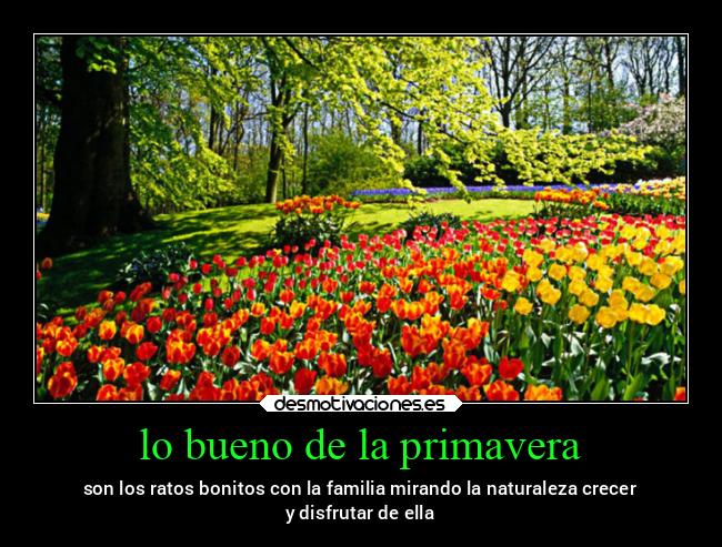 lo bueno de la primavera - son los ratos bonitos con la familia mirando la naturaleza crecer
y disfrutar de ella